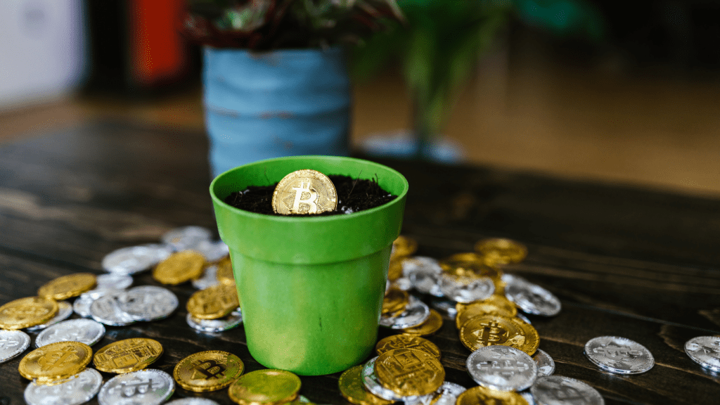 A pot with gold bitcoin on a wooden surface