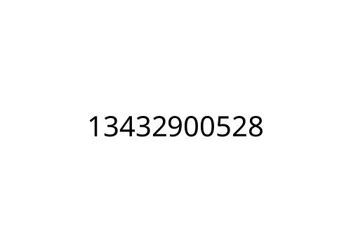 13432900528