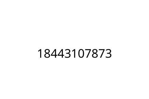 18443107873