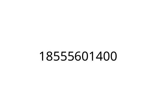 18555601400