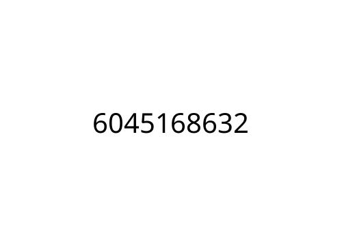6045168632