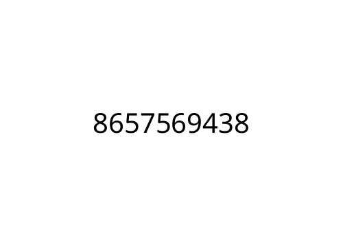8657569438