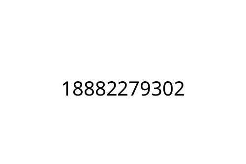 18882279302