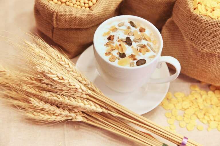 fhthgoodfood latest trending foods from fromhungertohope