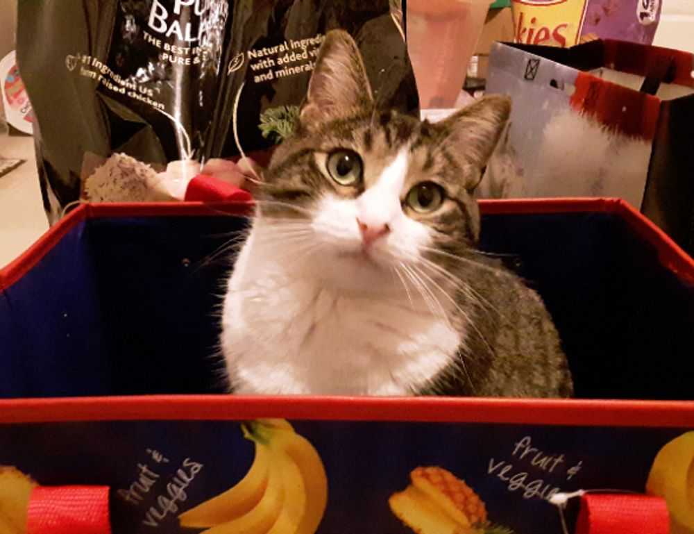 how to hacking zillexit software