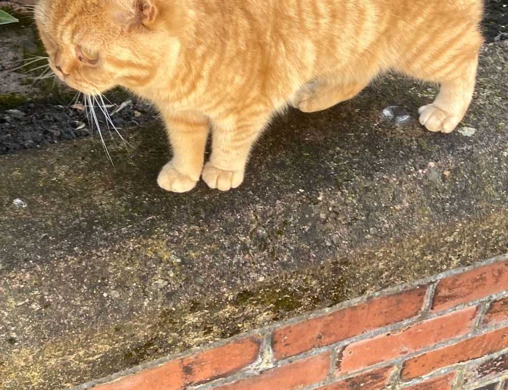 install mozillod5.2f5