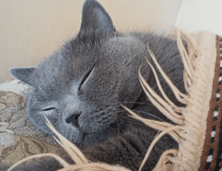 is bolytexcrose good for babies