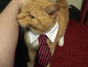 places to visit on the beevitius