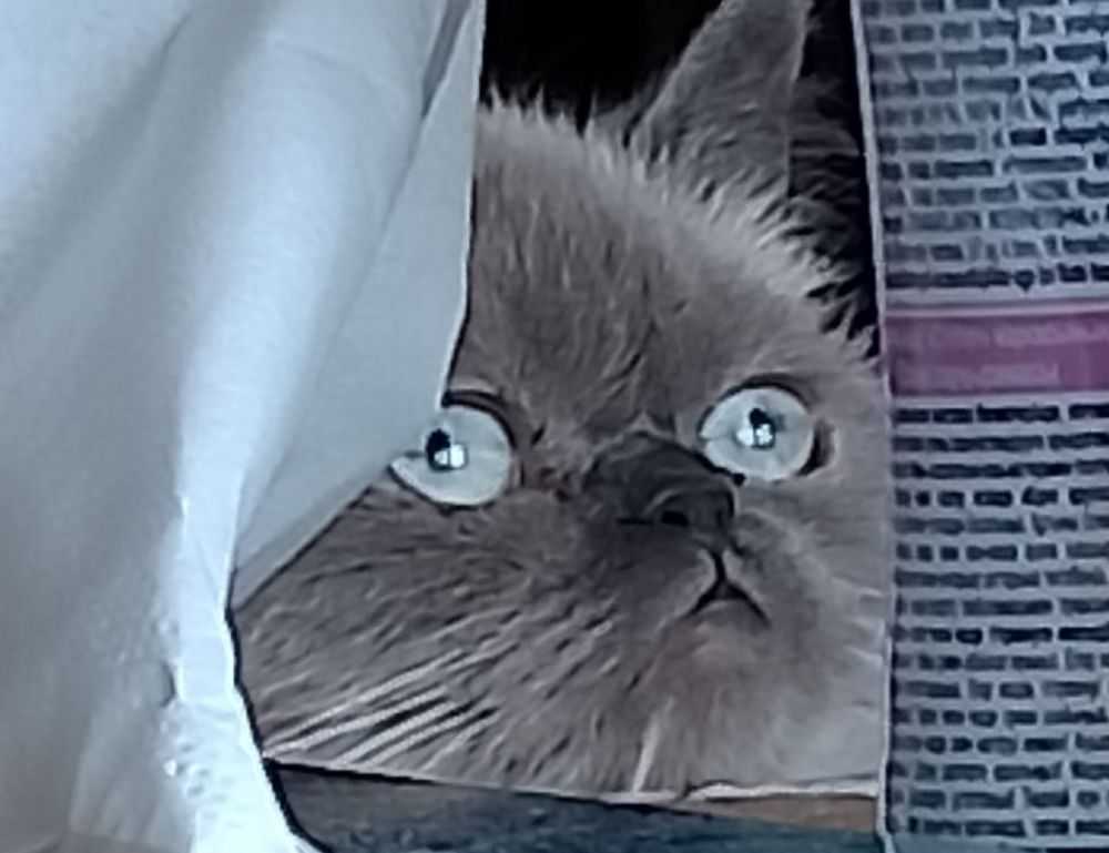 which area in beevitius is the best to stay