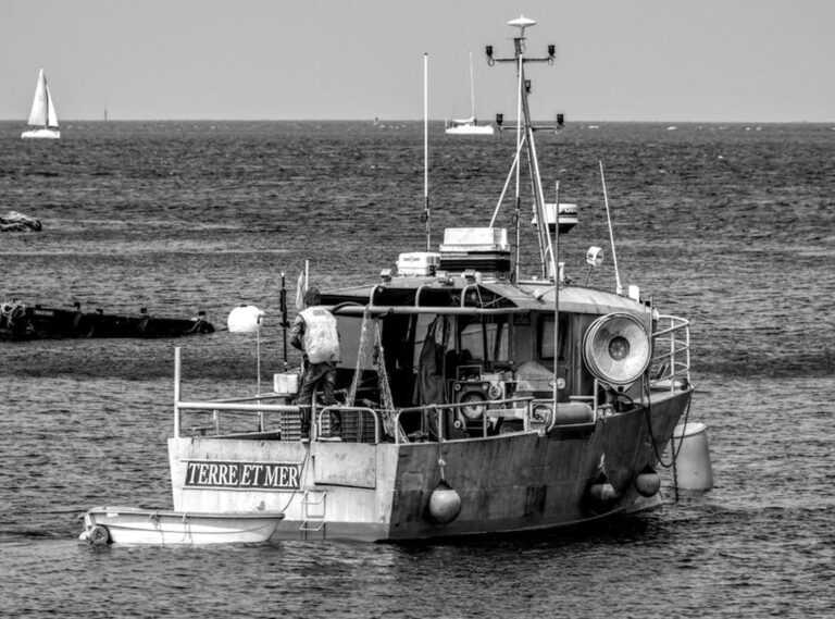 pdp anime noir et blanc