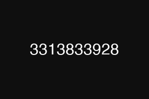 3313833928
