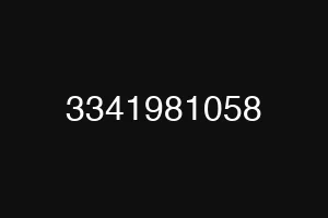3341981058