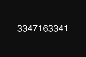 3347163341