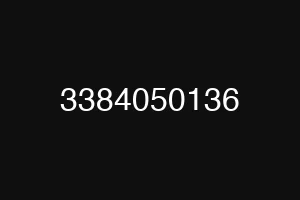 3384050136