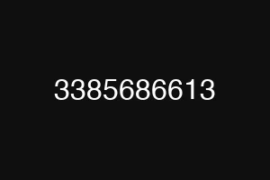 3385686613