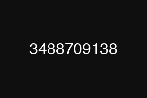 3488709138