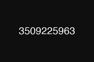 3509225963