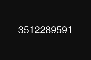 3512289591