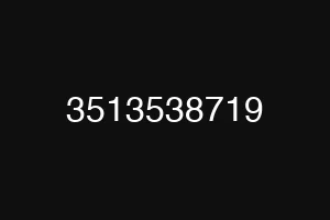 3513538719