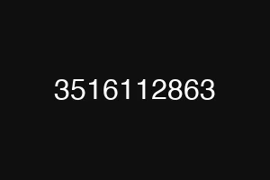 3516112863