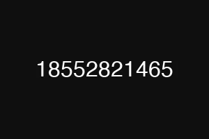 18552821465
