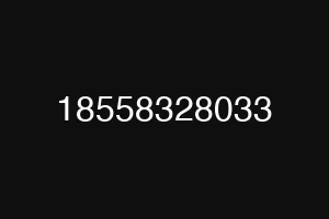 18558328033