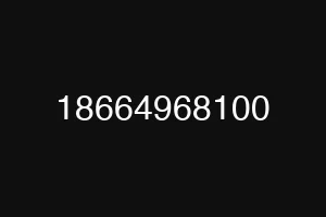 18664968100