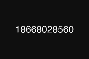 18668028560
