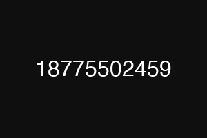 18775502459