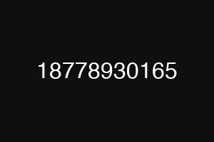18778930165