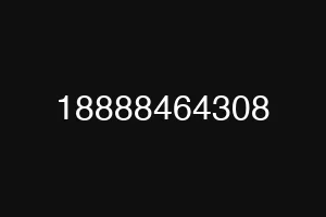 18888464308