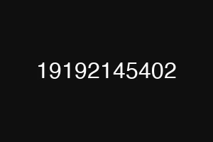 19192145402