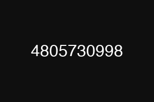 4805730998