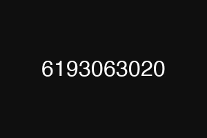 6193063020