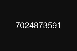 7024873591