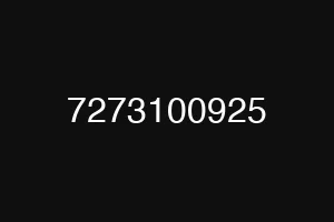 7273100925