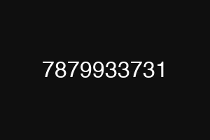 7879933731