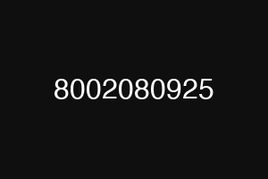 8002080925