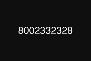 8002332328