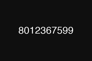 8012367599
