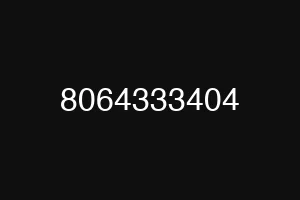 8064333404