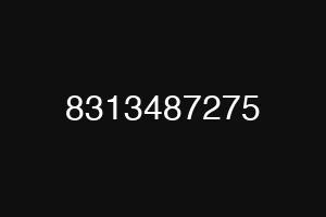 8313487275
