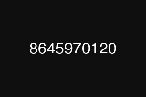 8645970120