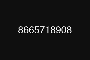 8665718908
