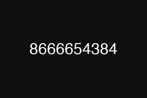 8666654384