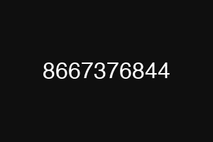 8667376844