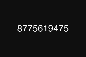 8775619475