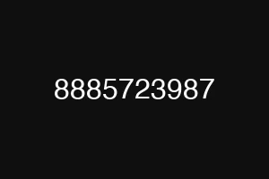 8885723987