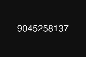 9045258137