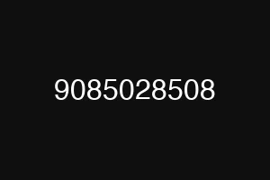 9085028508